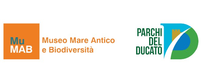 After_Fidenza_logo_Fidenza_MuMAB_h138.jpg