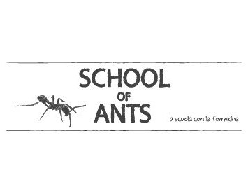School of Ants.jpeg