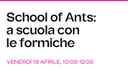 School of Ants