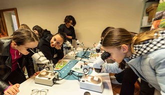 Ragazze che osservano formiche al microscopio