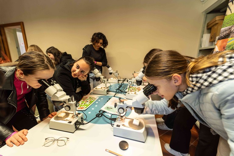 Ragazze che osservano formiche al microscopio