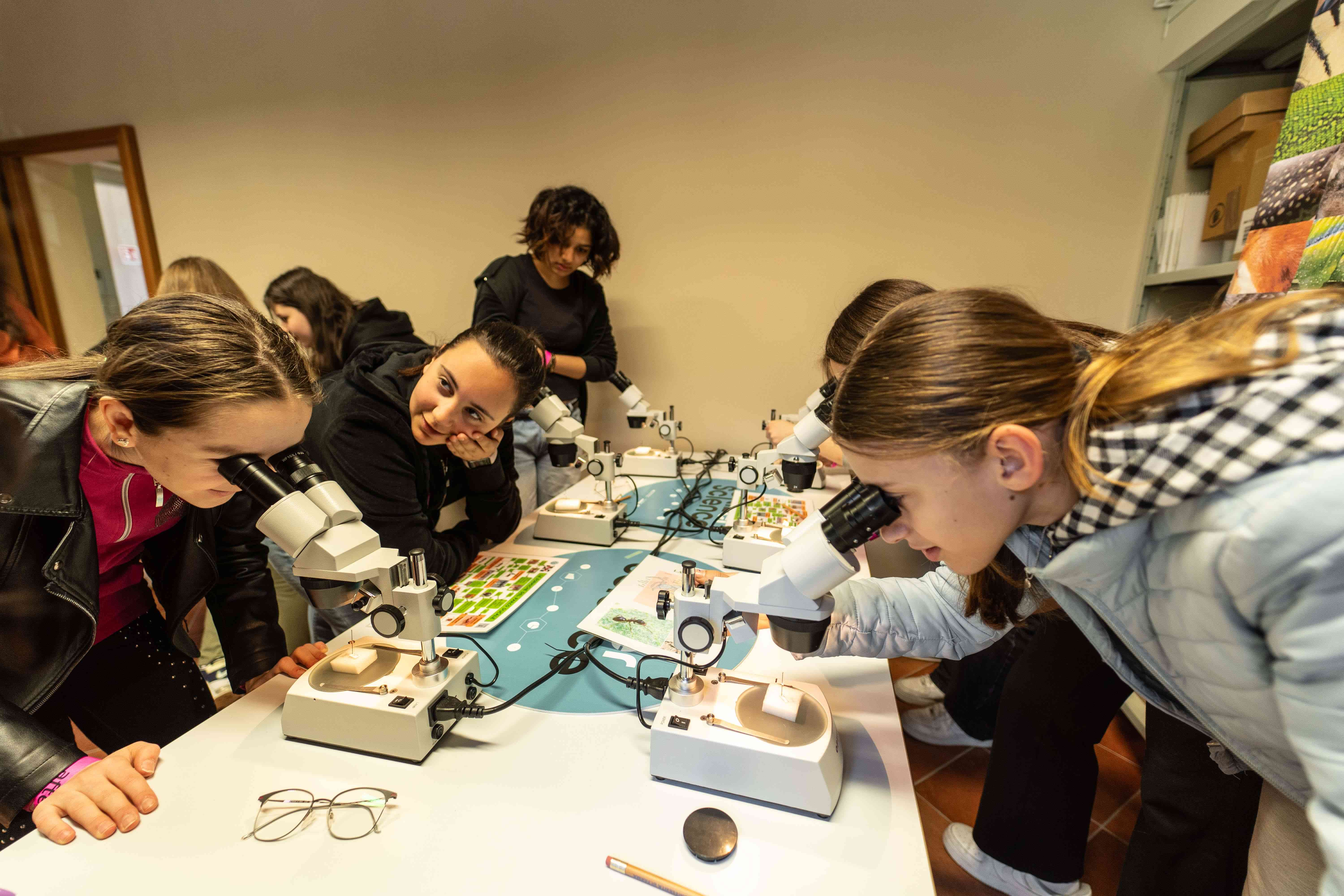Ragazze che osservano formiche al microscopio