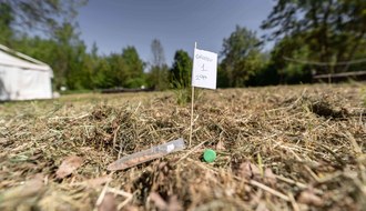Attività in ambiente aperto