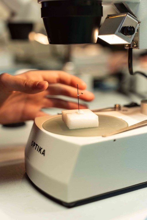 Detaglio su osservazione al microscopio