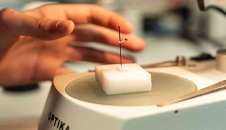 Detaglio su osservazione al microscopio