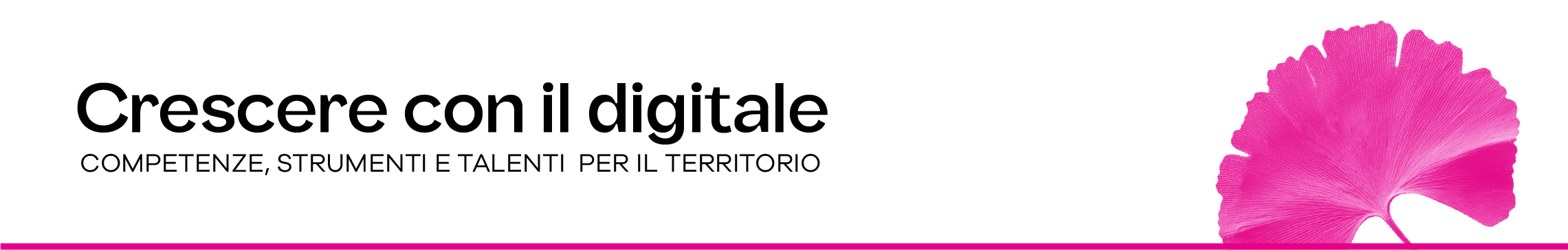 Crescere con il Digitale