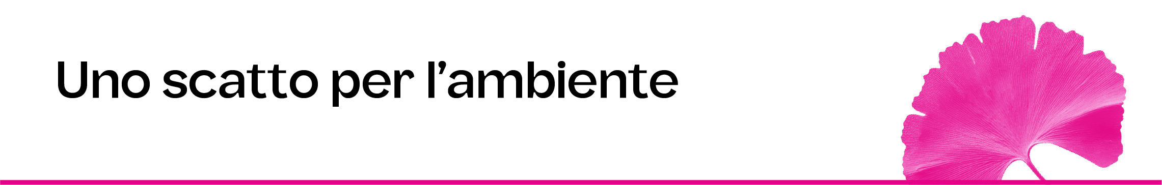 Uno scatto per l'ambiente