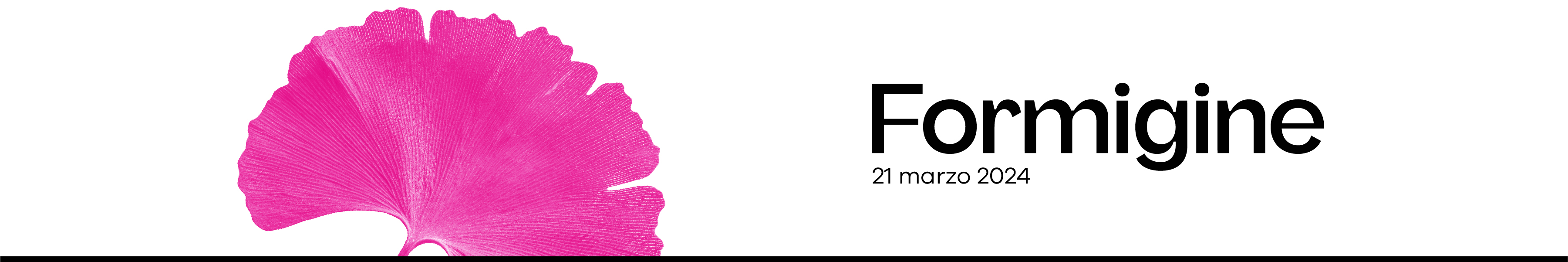 header Formigine.jpg